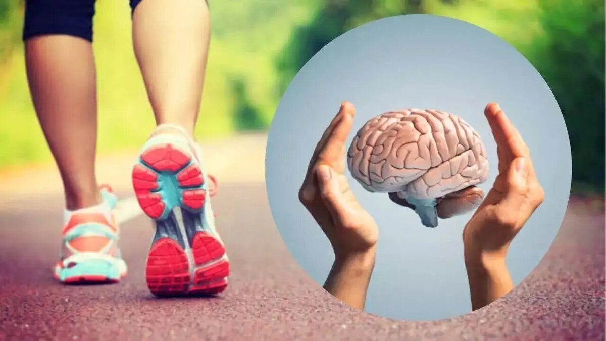 پادزهری طبیعی برای پیشگیری از پیری و آلزایمر