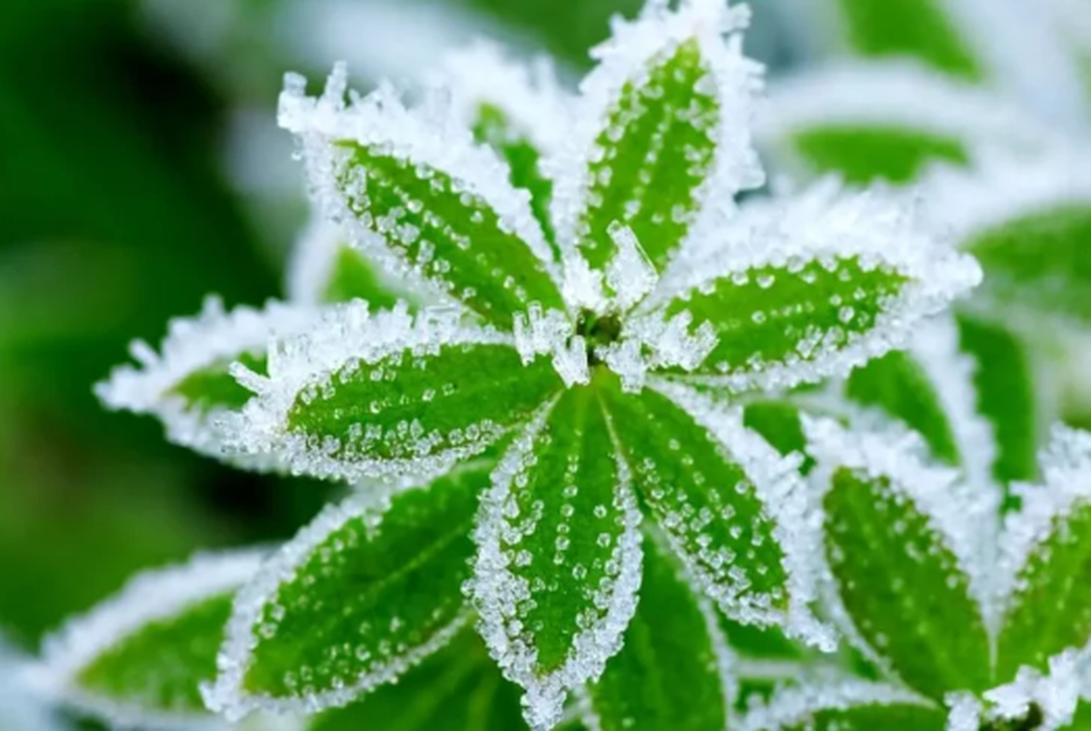 سرمای شدید در انتظار مناطق شمال کشور