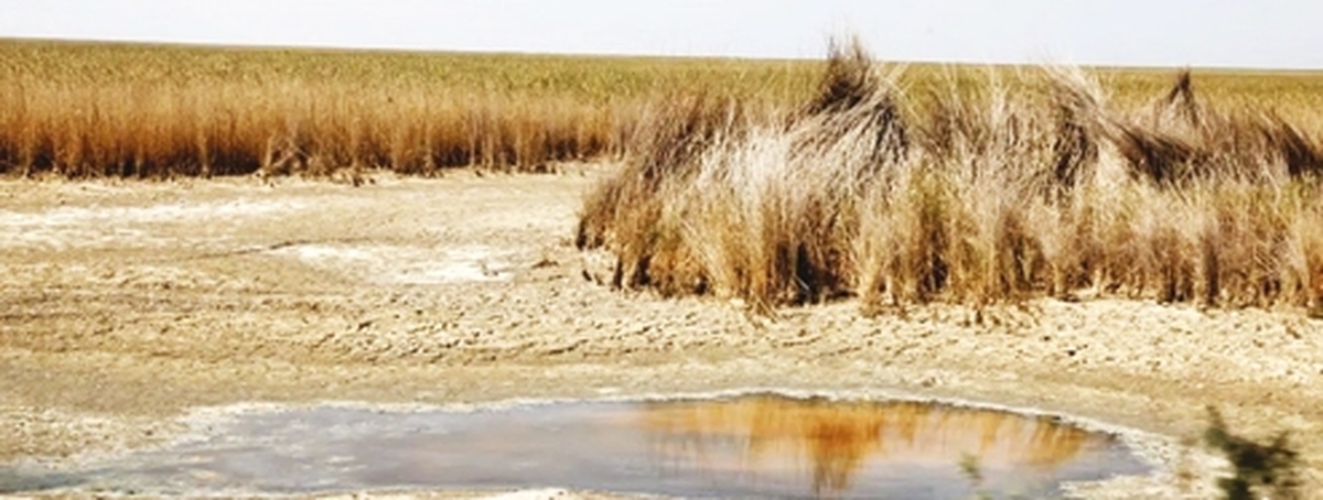مرگ 60 درصد تالاب‌هاي ايران در تابستان 1404