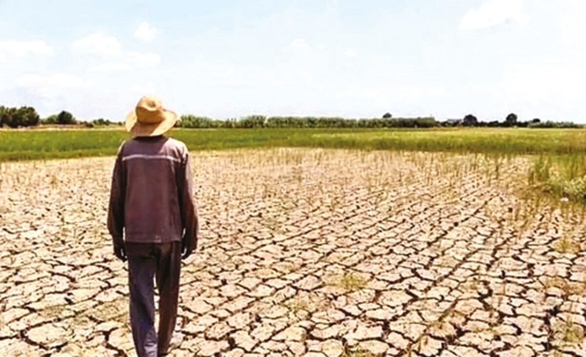 خشکی تالاب ها؛ از بین رفتن سپر طبیعی در برابر تغییرات اقلیمی