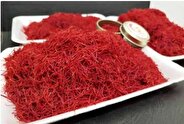 افزایش ۷۴ درصدی صادرات زعفران