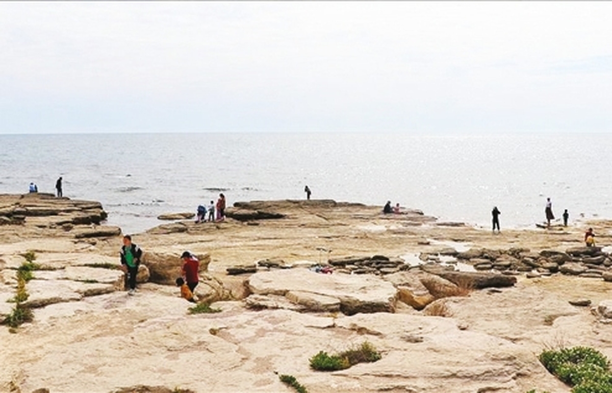 كاهش ۲،۵ متري سطح آب خزر، عامل تشديد فرونشست