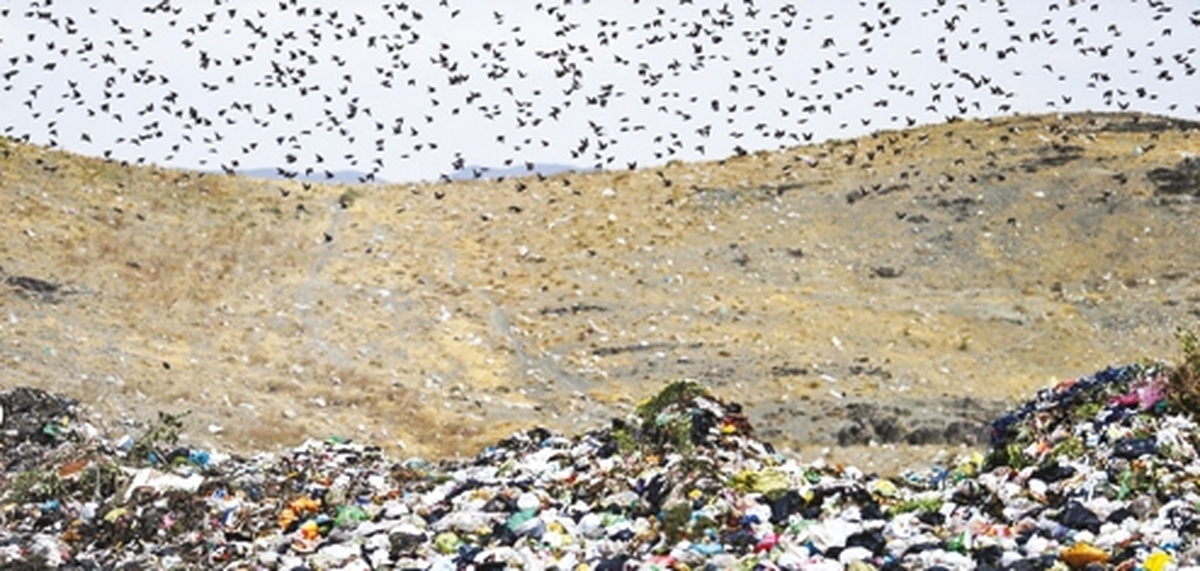 در آرادكوه چه مي‌گذرد