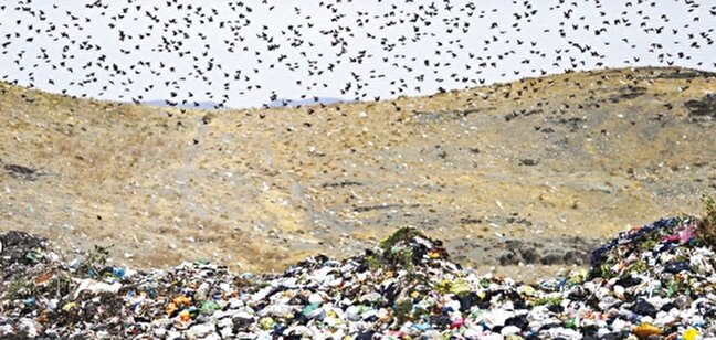 در آرادكوه چه مي‌گذرد