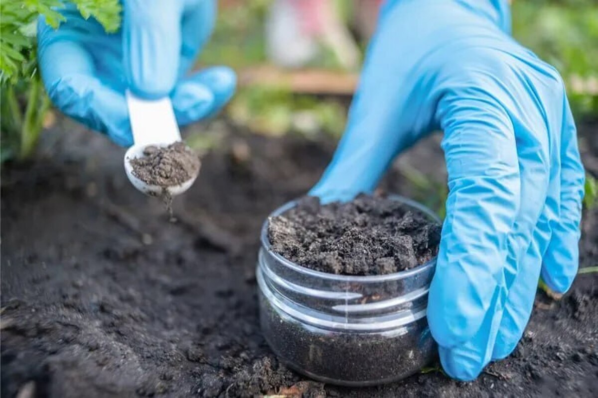 کشف آنتی‌بیوتیکی جدید علیه باکتری‌های شکست‌ناپذیر