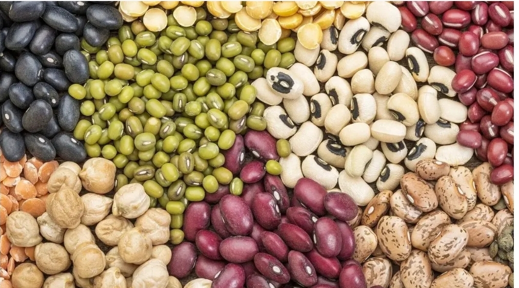 حبوبات هم از کنترل خارج شد؛ لوبیا قرمز به کیلویی ۲۴۵ هزار تومان رسید!