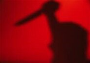 قتل تلخ زن ۱۶ساله به دست همسرش در عجب‌شیر