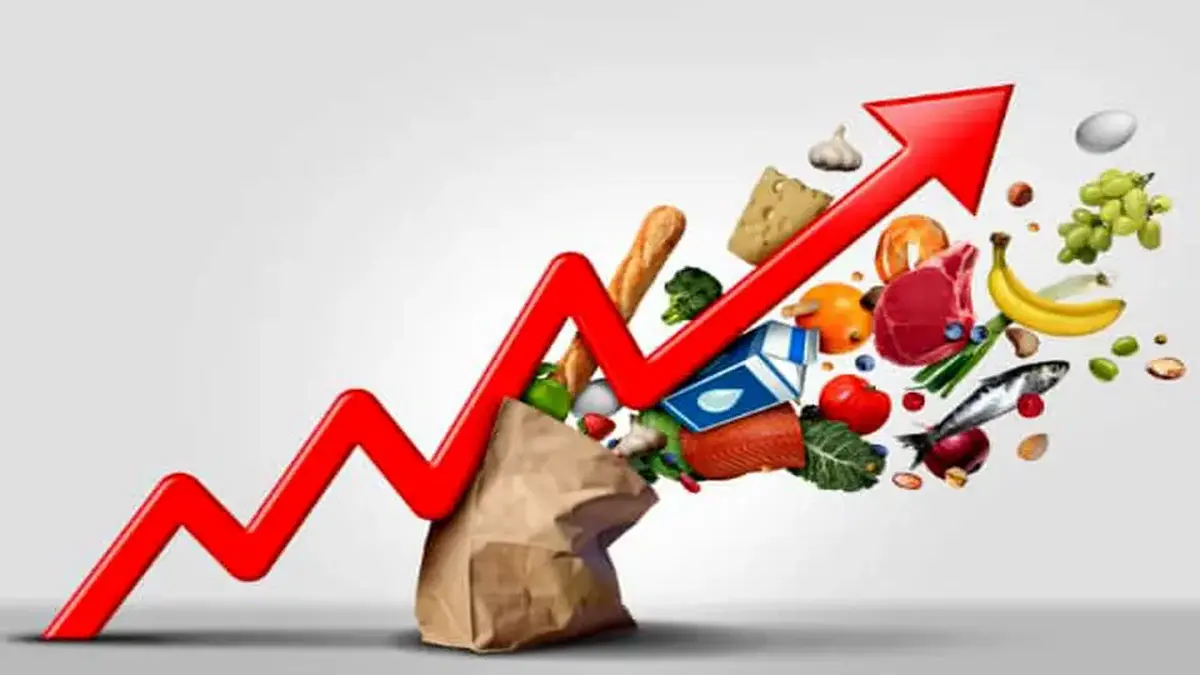 یک نماینده مجلس رقم تورم واقعی را لو داد!