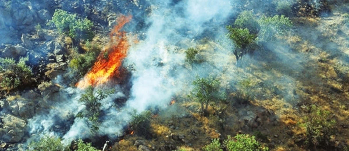 آتش در «اليت» مهار نشده است