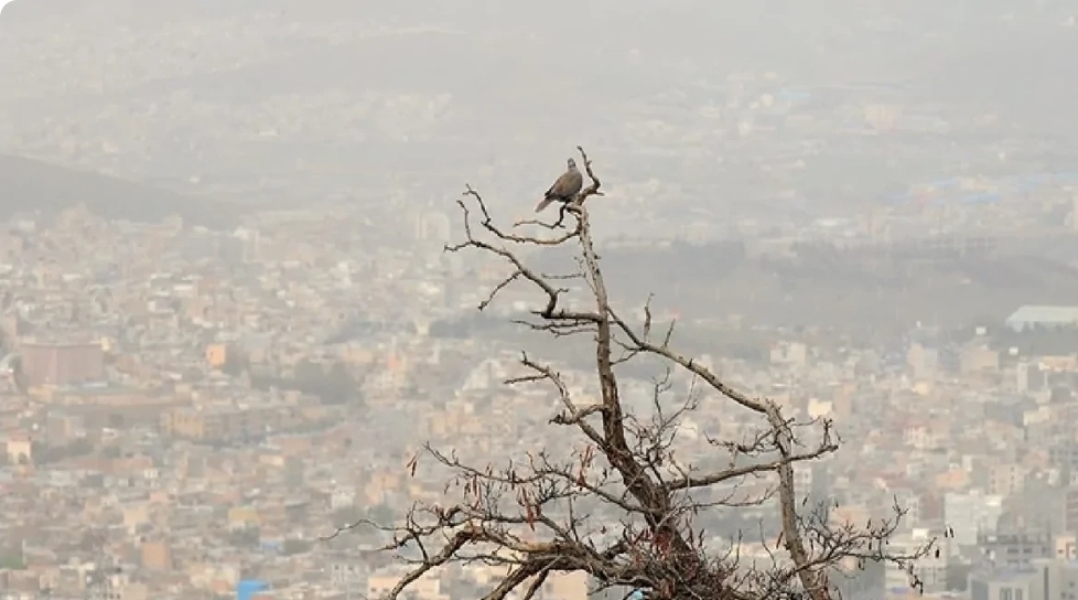 آلودگی هوا در ۱۰ شهر خوزستان