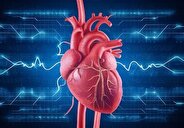 ۴۶ درصد از مرگ‌های کشور ناشی از بیماری‌های قلبی است/ کاهش سن سکته قلبی در ایران