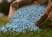 ۱۱ برابر شدن قیمت  کود از تیرماه ۱۴۰۳ تا ماه گذشته