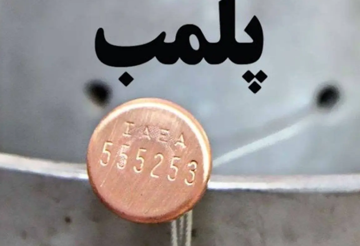 پاساژ«شانزلیزه» در تهران پلمب شد