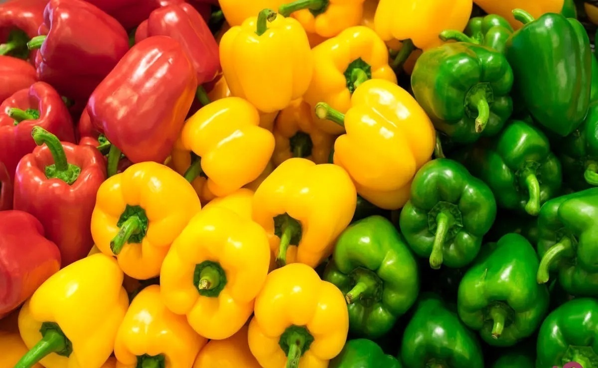 این صیفی رنگارنگ منبع ویتامین C است