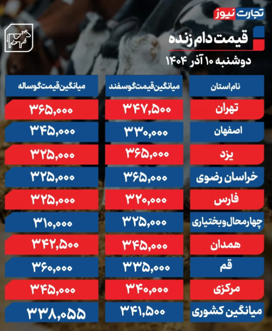قیمت دام زنده امروز دوشنبه ۱۰ آذر 1404