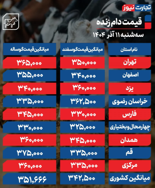 قیمت دام زنده امروز سه شنبه ۱۱ آذر 1404