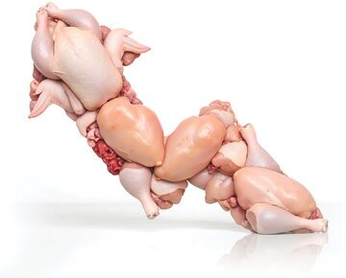 قیمت مرغ با سود متعارف چقدر باید باشد؟