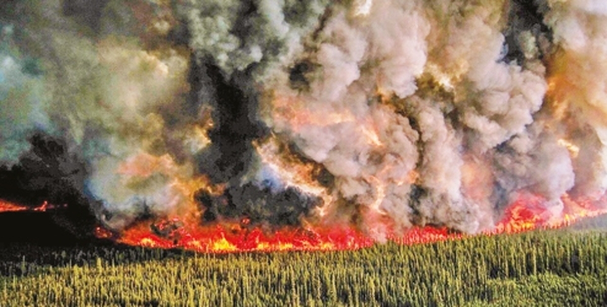 جنگل‌ها زير فشار كم‌آبي و سوء‌مديريت