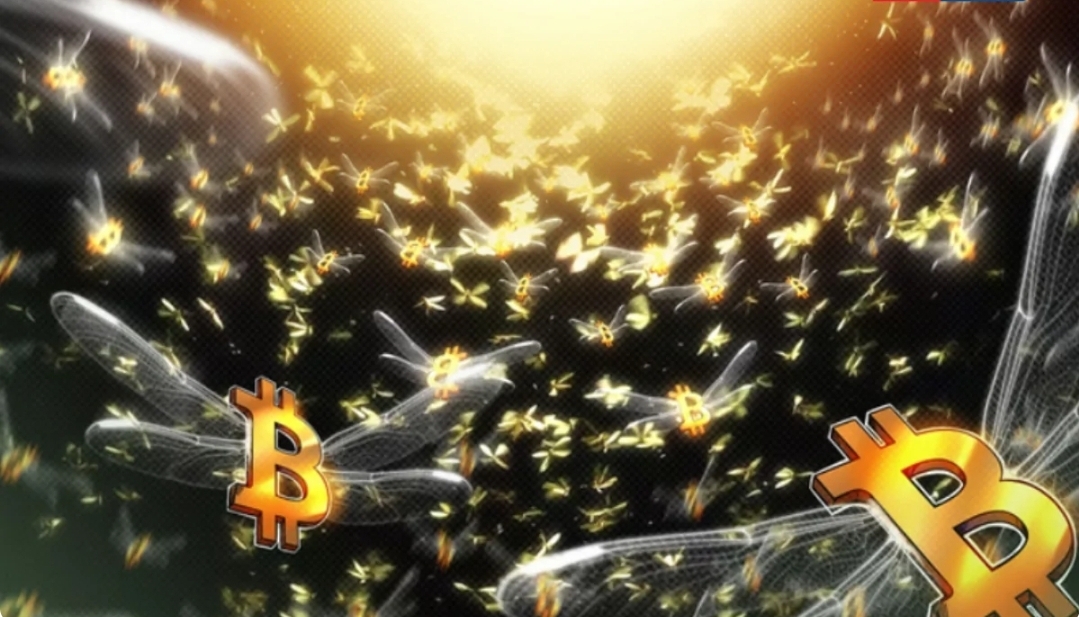 بیداری نهنگهای قدیمی / ۲,۰۰۰ بیت کوین پس از ۱۳ سال دوباره فعال شدند