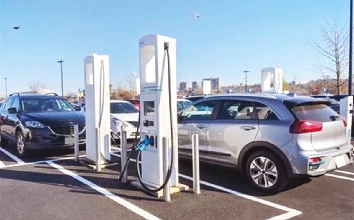 بي‌عملي صمت در واردات خودرو