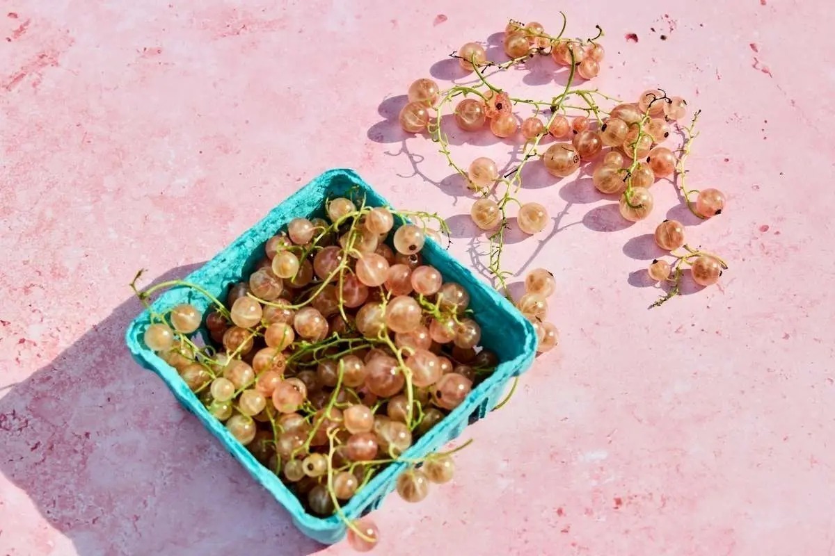 اگر این ۳ علامت را دارید، فیبر زیادی می‌خورید!