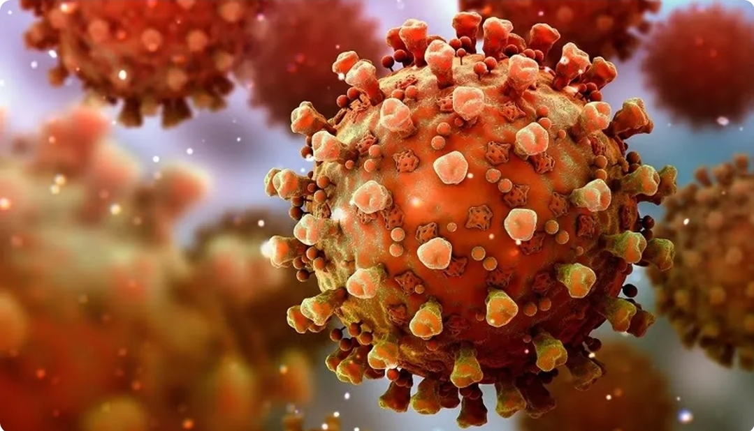 ظفرقندی: در پیک آنفلوآنزا هستیم