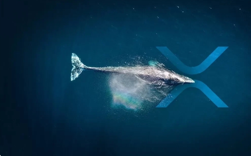 فروش 480 میلیون دلار ریپل توسط نهنگ‌ها در 48 ساعت گذشته/ کاهش کوتاه‌مدت قیمت ریپل به زیر 2 دلار