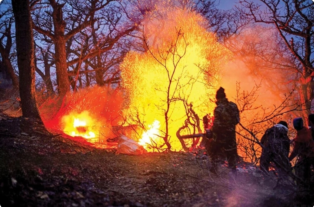 هواپیما‌های آب‌پاش ترکیه‌ای برای مهار آتش جنگل الیت وارد ایران شدند