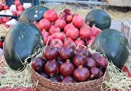 قیمت میوه شب یلدا در تهران اعلام شد/ هندوانه ۲۵ انار ۸۷ هزار تومان