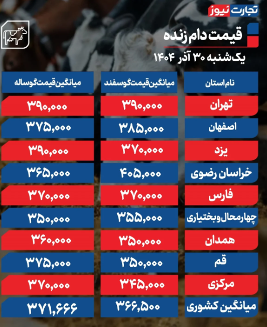 قیمت دام زنده امروز یکشنبه ۳۰ آذر 1404