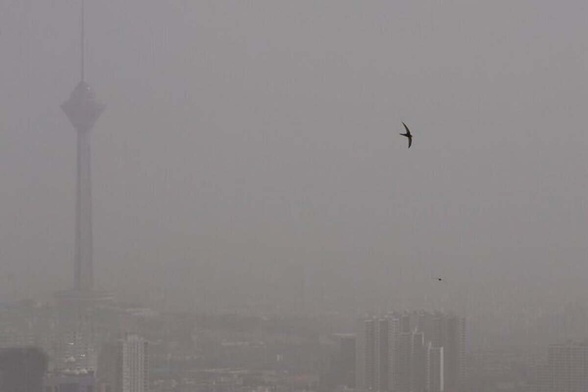 سفارت دانمارک درباره شرایط تهران اعلام خطر کرد