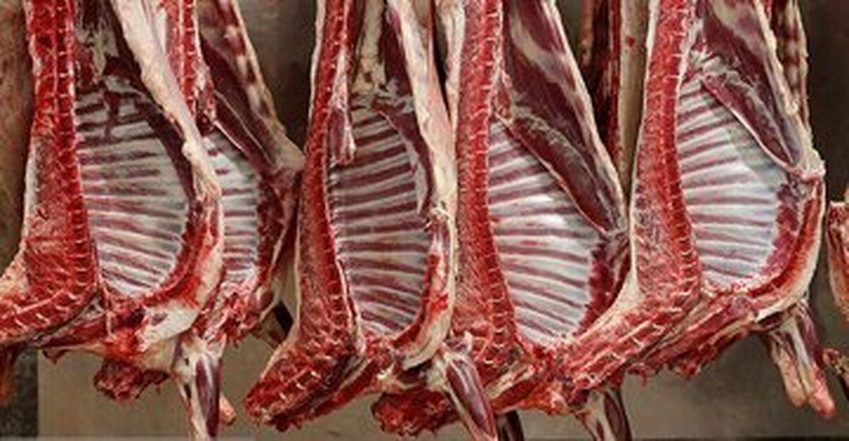 راز گرانی گوشت فاش شد/ چه افرادی گوشت را گران می‌کنند؟