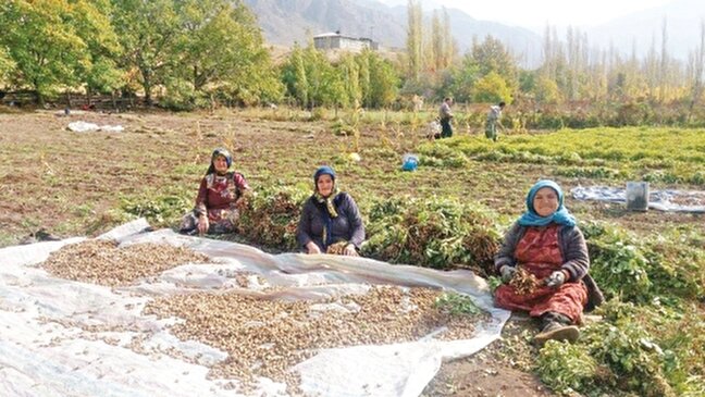 توسعه كسب‌و‌كارهاي روستايي با ايجاد زيست‌بوم روستا