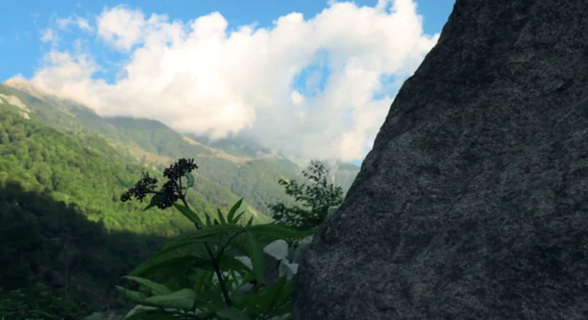 تردد در جنگل‌های سوادکوه ممنوع شد