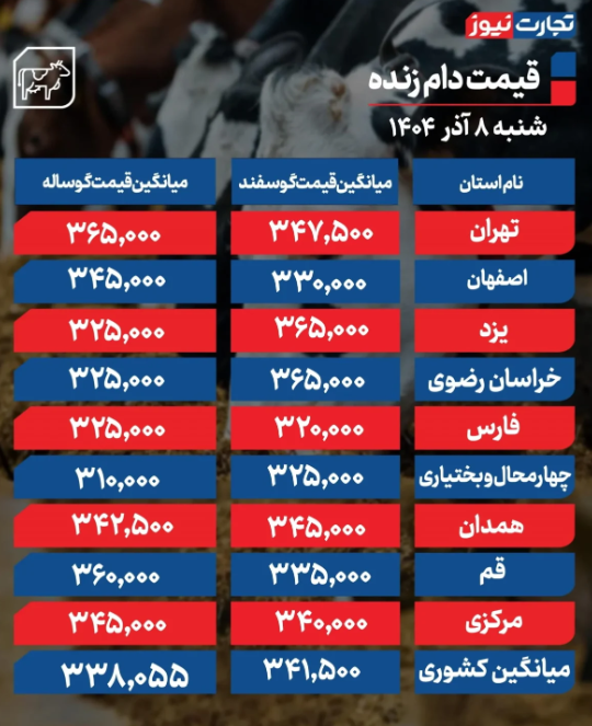 قیمت دام زنده امروز شنبه ۸ آذر 1404/ نرخ گوسفند و گوساله بالا رفت