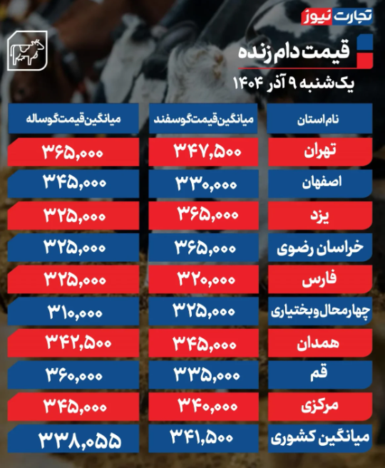 قیمت دام زنده امروز ۹ آذر 1404