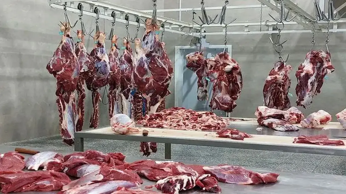 قیمت انواع گوشت گوساله و گوسفندی وارداتی و آزاد داخلی اعلام شد