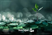 جزئیات کامل سود نقدی مجامع اخیر + تاریخ دقیق واریز