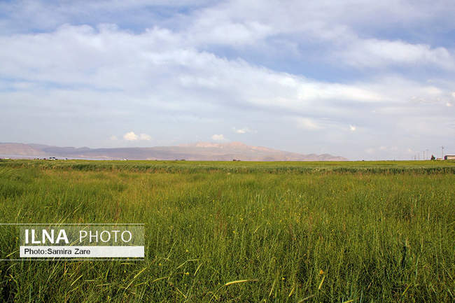 دریاچه مهارلو استان فارس جان تازه گرفت