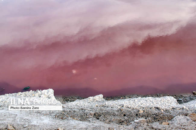 دریاچه مهارلو استان فارس جان تازه گرفت