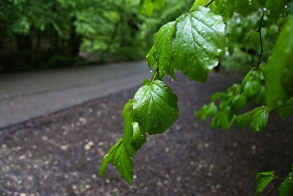 دما در نوار ساحلی کشور از ۸ اردیبهشت کاهش می یابد