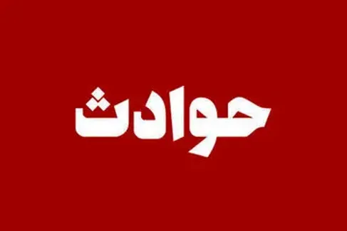 پرستار خانگی قاتل ۲ زن سالخورده شد