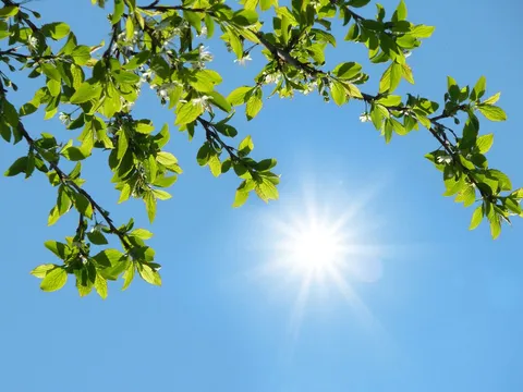 ورود توده هوای گرم به کشور / هوا ۱۵ درجه‌‌ افزایش می‌یابد