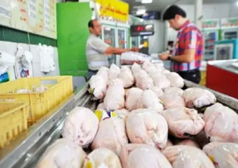 قیمت جدید گوشت مرغ امروز ۲۱ مرداد ۱۴۰۵
