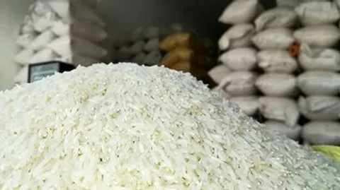 قیمت جدید انواع برنج ایرانی و خارجی