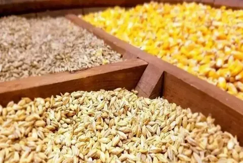 وضعیت ذخایر کالاهای اساسی و نهاده‌های دامی چگونه است؟