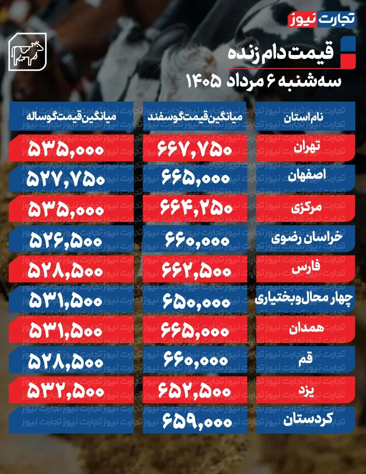 قیمت دام زنده امروز ۶ مرداد ۱۴۰۵/ گوساله چند شد؟ + جدول