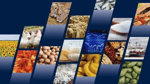 مرحله جدید توزیع ذخایر کالا‌های اساسی در استان تهران آغاز شد