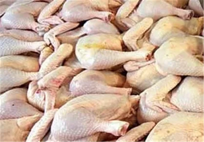 قیمت انواع گوشت مرغ قطعه بندی طعم دار بسته‌بندی اعلام شد