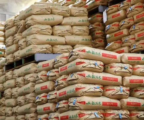 جدول قیمت انواع برنج پاکستانی ۱۹ شهریور ۱۴۰۵